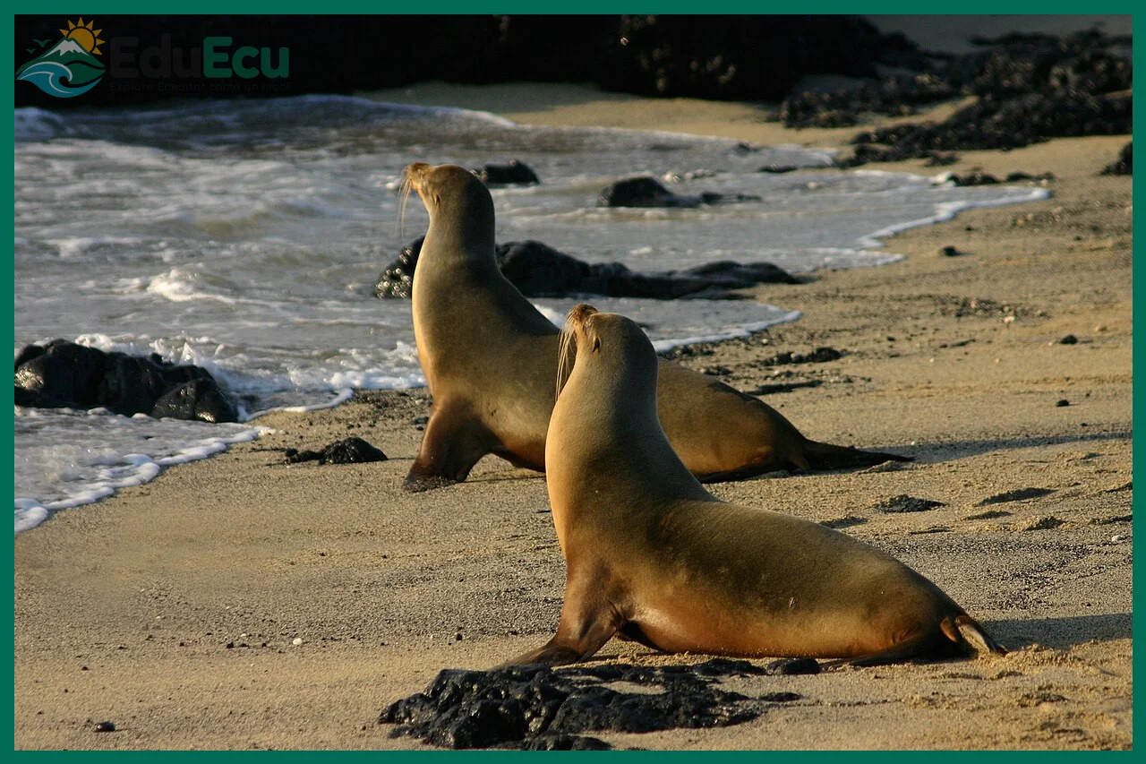 Aspectos prácticos para comer en Galápagos