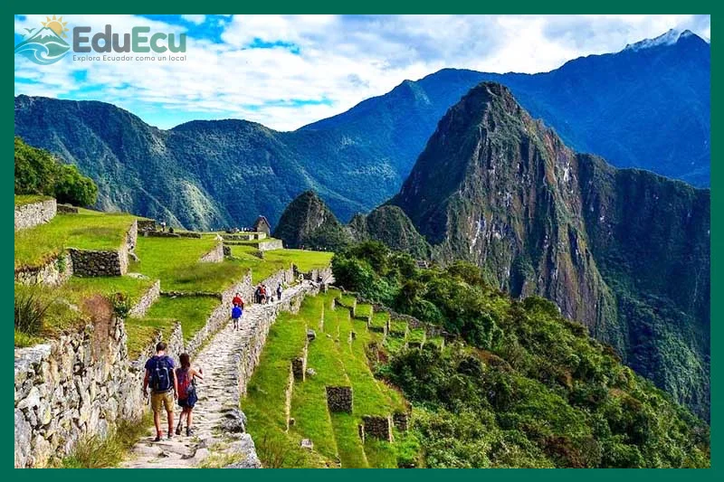 ¿camino-del?