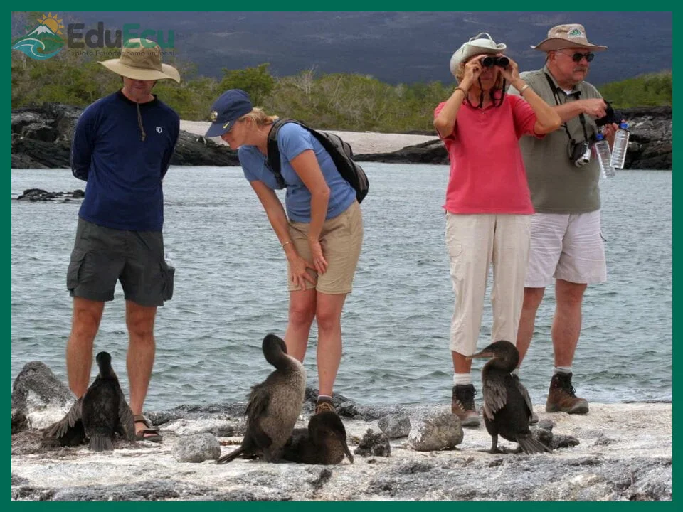 ¿Comida, estancia y sitios turísticos en las islas Galápagos?