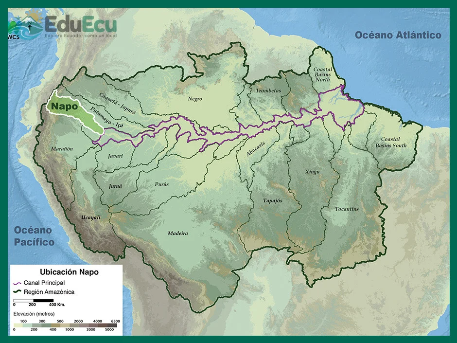 Cómo es la ruta del río Napo en Ecuador