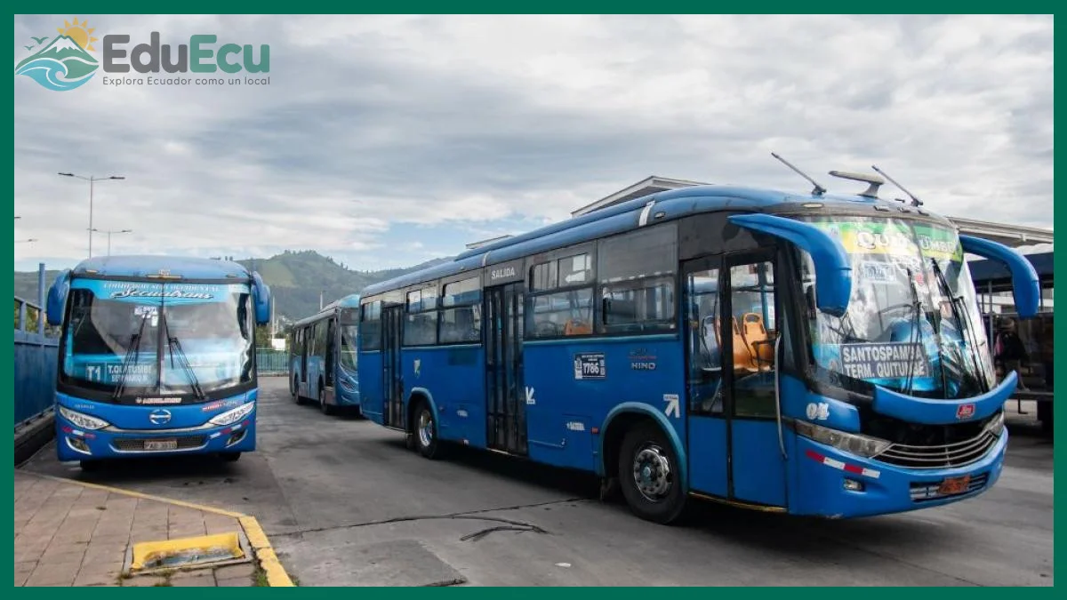 Cómo evaluar la reputación de una operadora en puntualidad y seguridad
