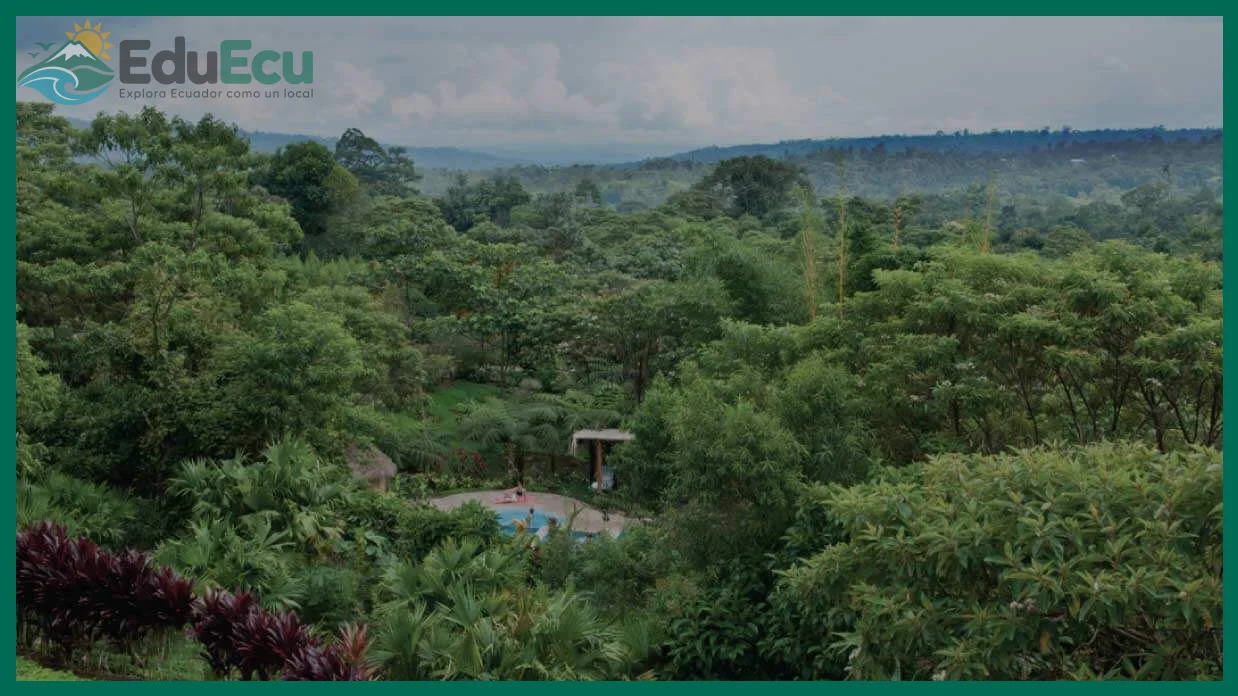 Cómo explorar la Amazonía ecuatoriana desde Tena