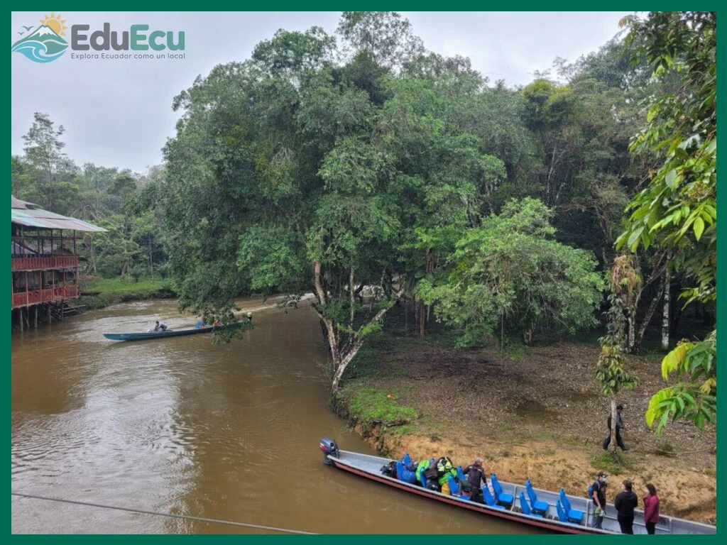 Cómo llegar a Puerto Misahualli desde Baños o Quito