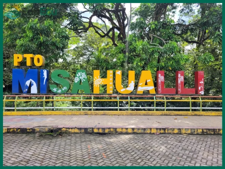 Cómo llegar a Puerto Misahuallí y qué hacer