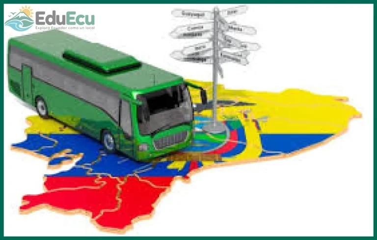 Cómo moverse entre ciudades de Ecuador sin gastar mucho