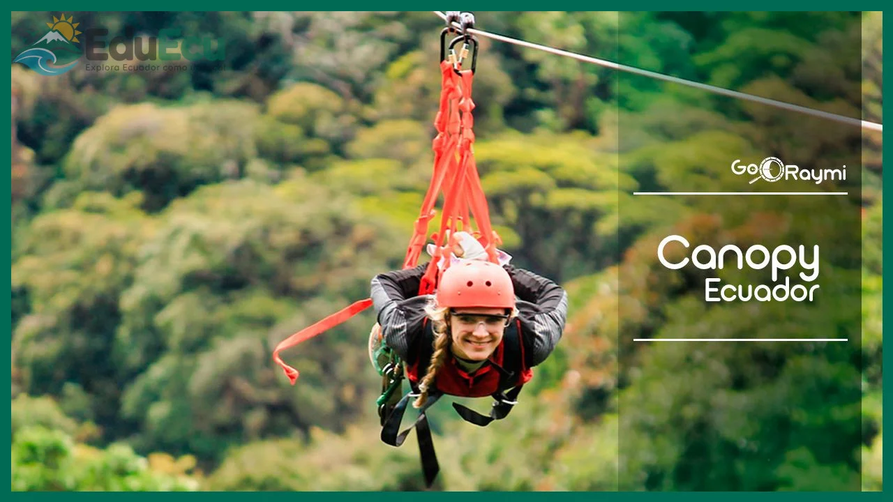 Cómo practicar canopy en Ecuador lugares y precios