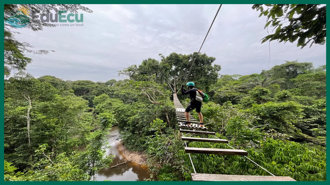 Cómo protegerte de mosquitos y otros insectos en la selva amazónica