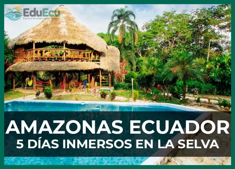 Cómo recorrer la Amazonía ecuatoriana en 5 días