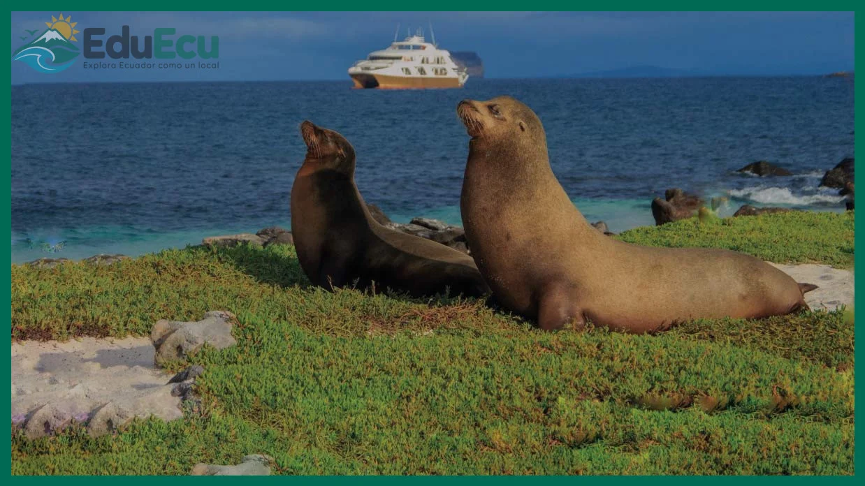 Cómo viajar a las Galápagos con presupuesto ajustado