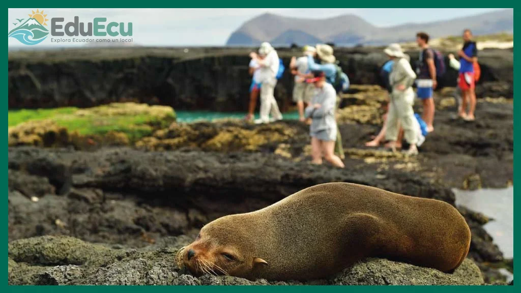 Cómo viajar a las Galápagos con presupuesto ajustado