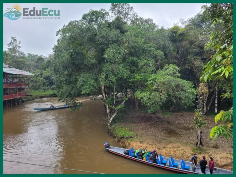 Cómo visitar la reserva de producción de fauna Cuyabeno