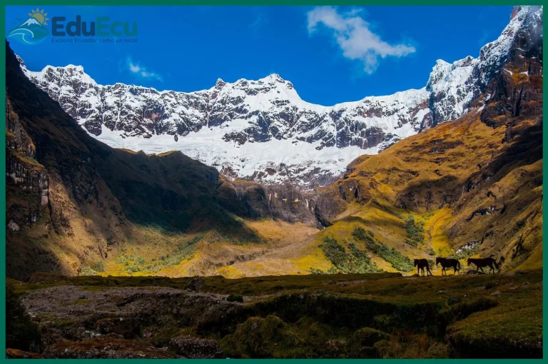 Guía para acampar en los Andes ecuatorianos