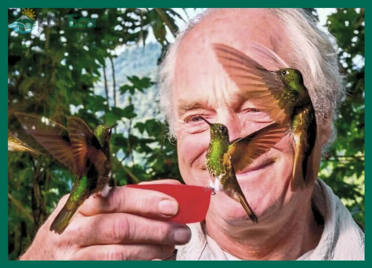 Guía para observar aves en Mindo