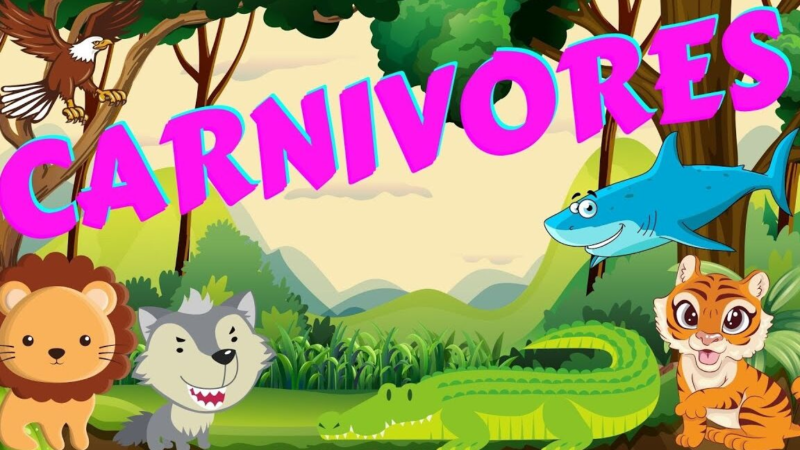 Cuáles Son los Animales Carnívoros