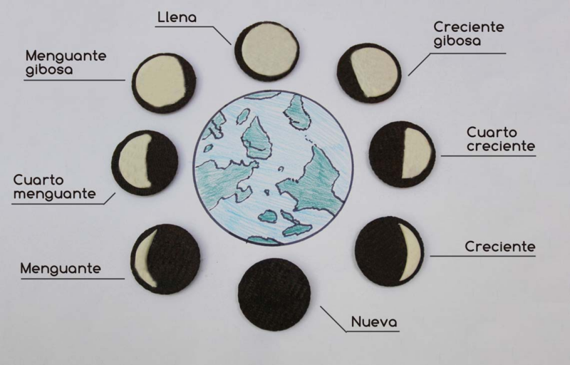 fases de la luna
