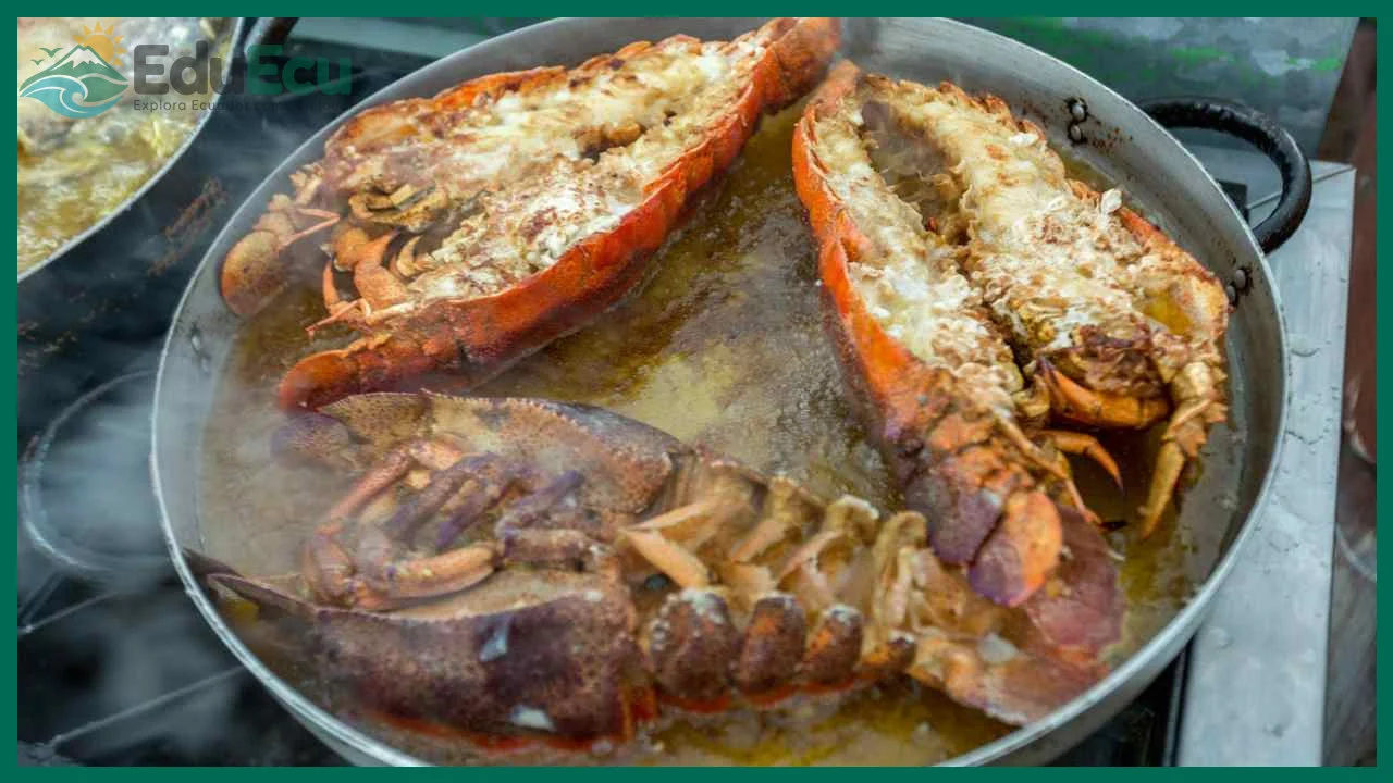 La langosta espinosa de Galápagos y su temporada de consumo