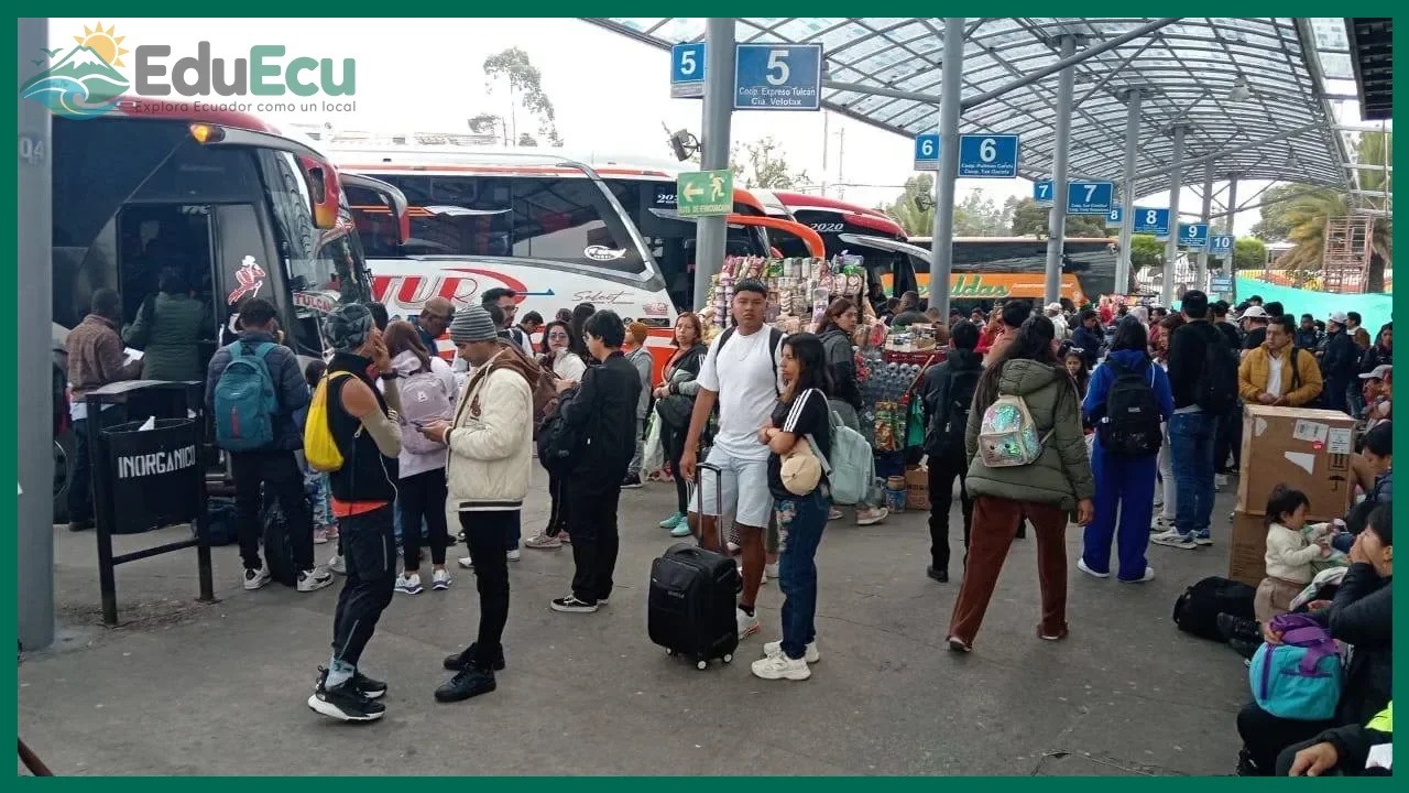 Paso 1 — Elegir entre bus público o carro particular para llegar a Tena