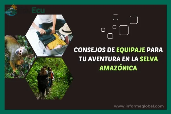 Poncho, botas resistentes al agua y bolsas secas para la lluvia sorpresiva