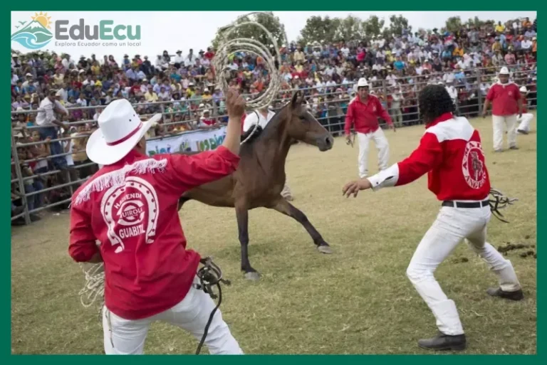 Qué es el rodeo montubio y por qué es tradición en la Costa ecuatoriana