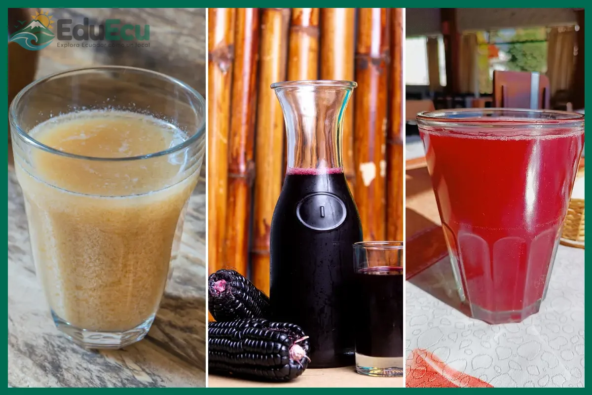 Qué es la chicha de jora y qué papel tiene en las fiestas locales