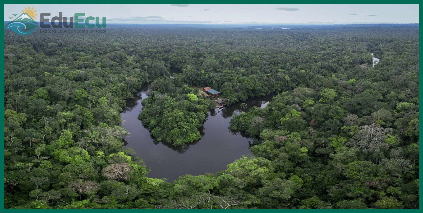 Qué incluye un tour de 5 días en un lodge de la selva ecuatoriana