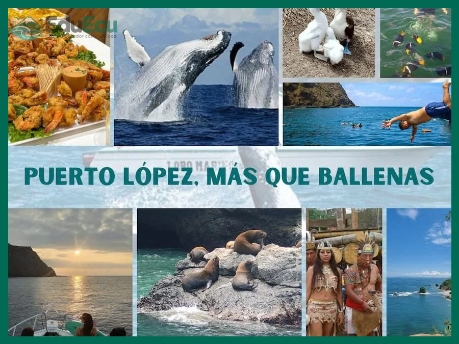 Qué ver en Puerto López y sus alrededores
