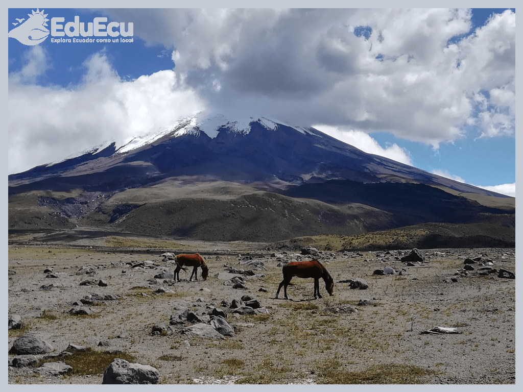 Quito como punto de partida y su centro colonial en la Avenida de los Volcanes