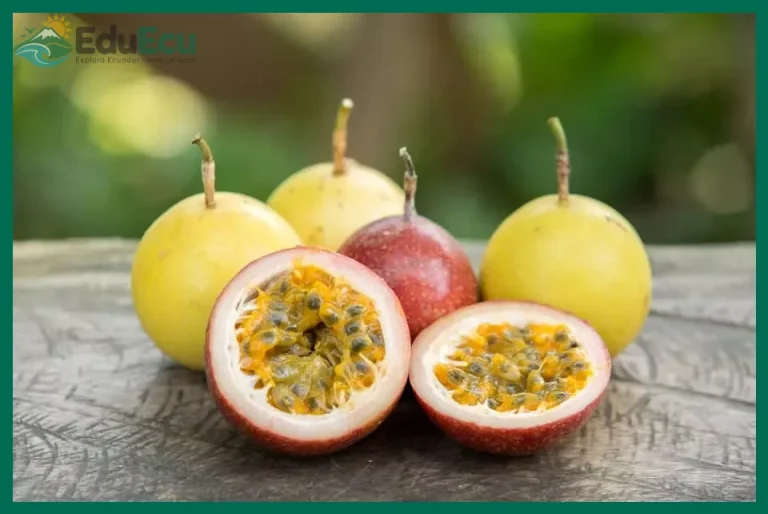 Ruta de las frutas exóticas en Ecuador: qué probar y dónde