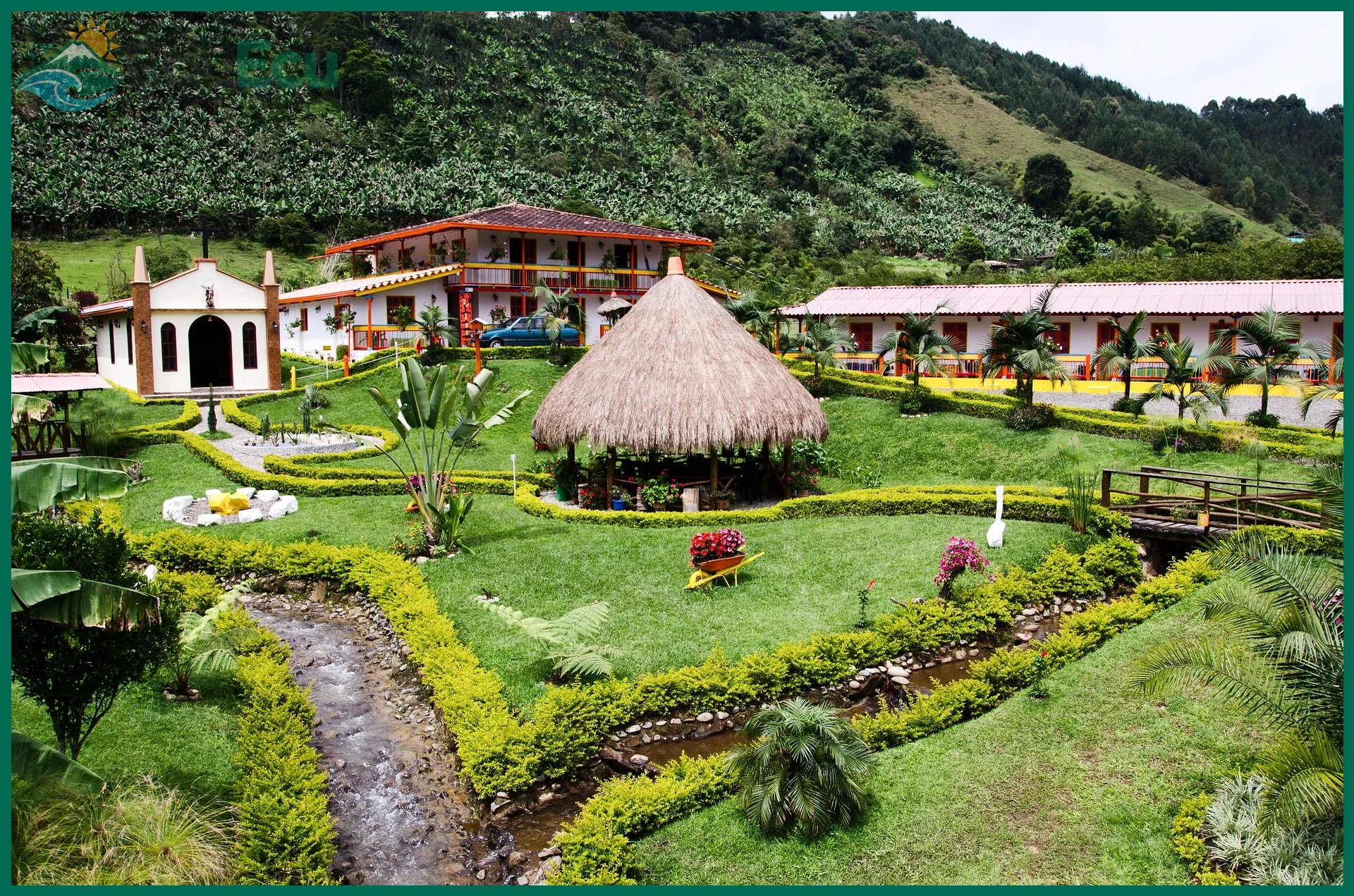 Ruta del café en Ecuador: mejores zonas cafetaleras para visitar